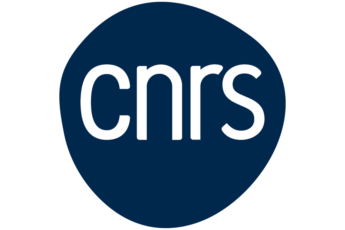 Logo du CNRS