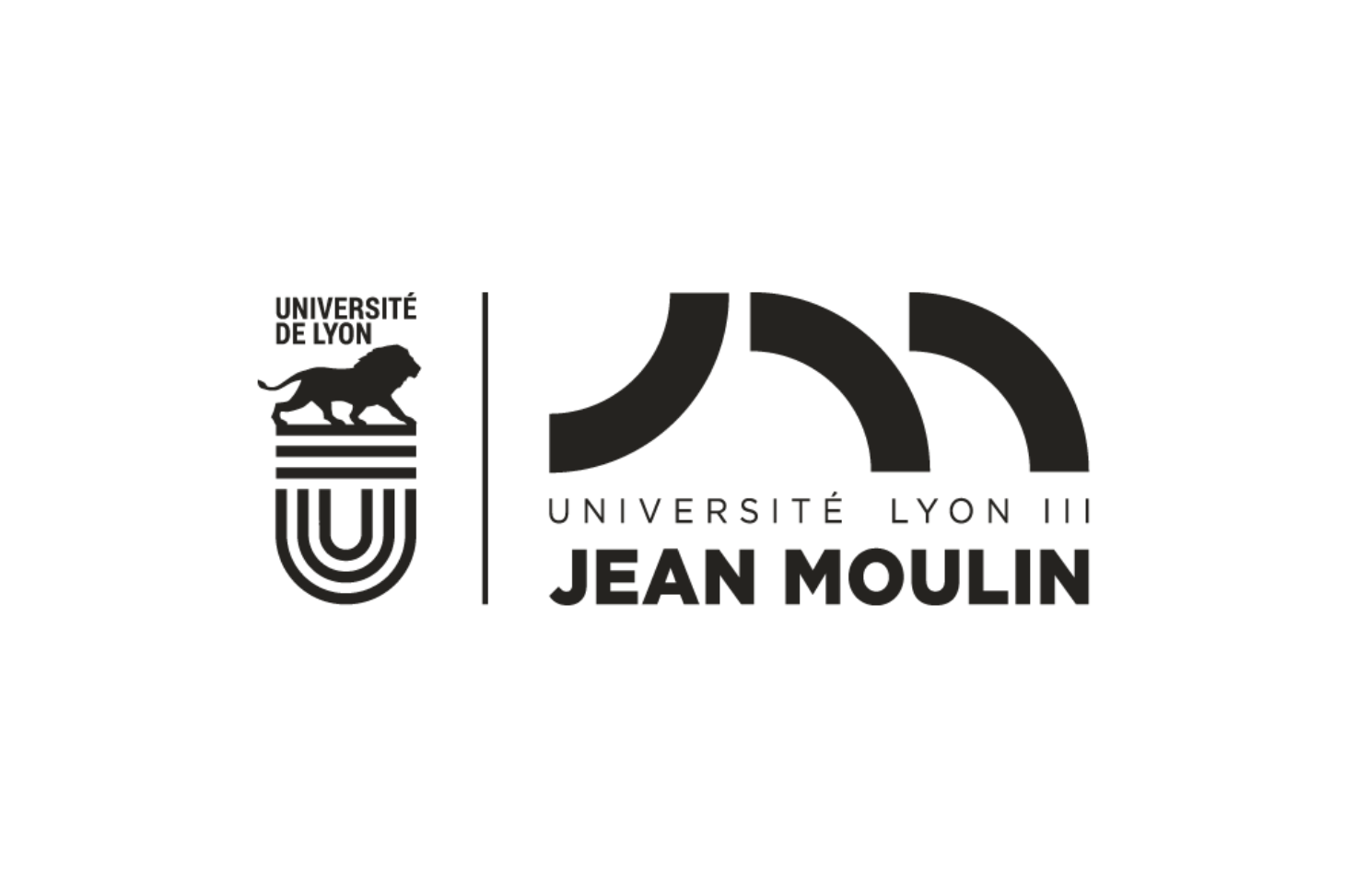 Logo de l'Université Jean Moulin Lyon 3
